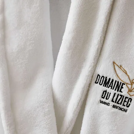 ホテル Domaine Du Liziec - Mgallery Collection 4*